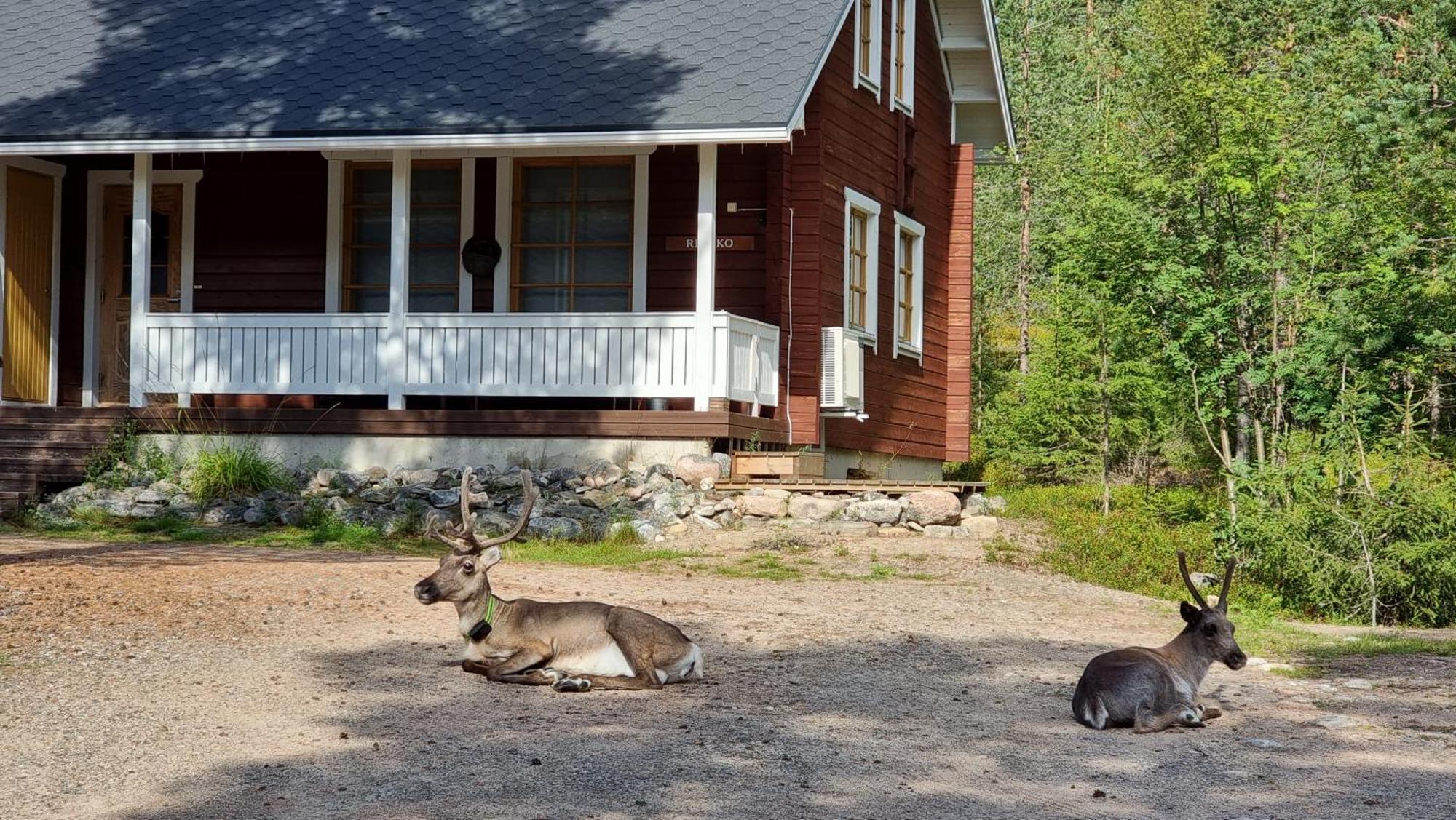 Riekko Chalet Rovaniemi Eksteriør billede
