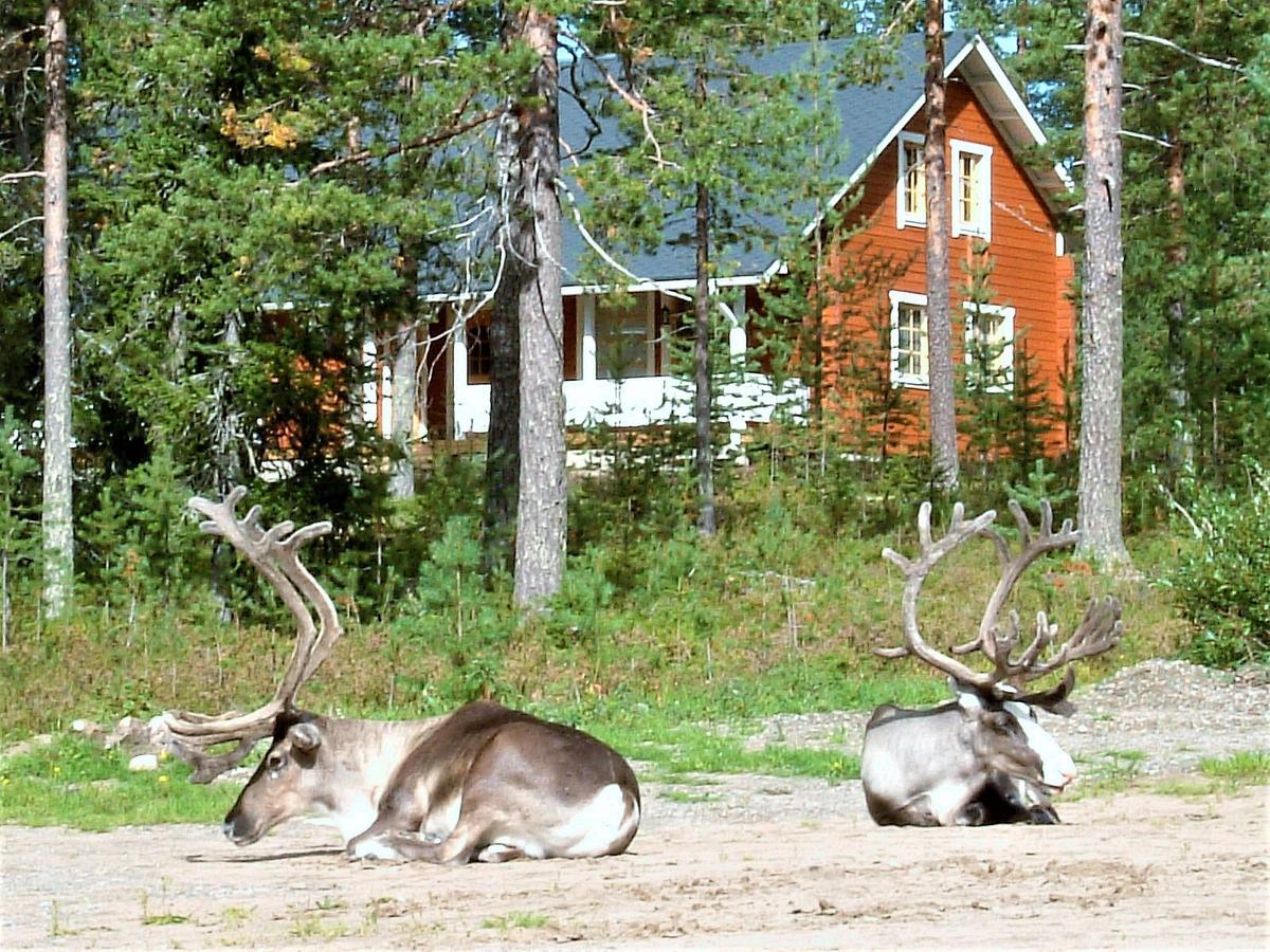 Riekko Chalet Rovaniemi Eksteriør billede